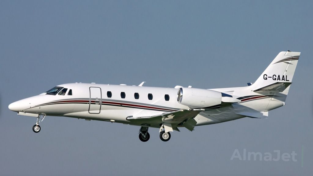 Citation XLS